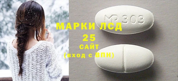 индика Семилуки