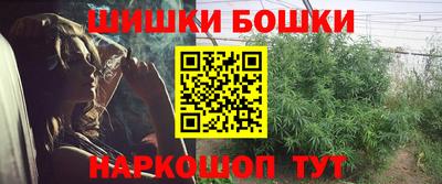 apvp Усть-Илимск