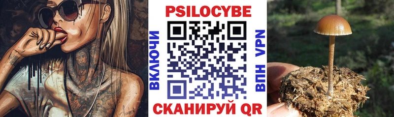 ссылка на мегу рабочий сайт  Наро-Фоминск  Псилоцибиновые грибы Psilocybine cubensis 