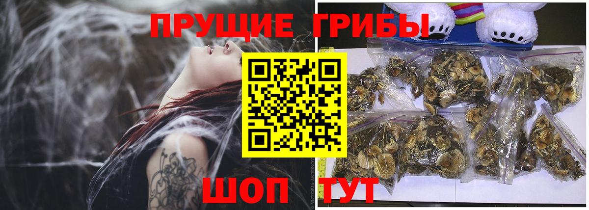 Галлюциногенные грибы Psilocybine cubensis Наро-Фоминск